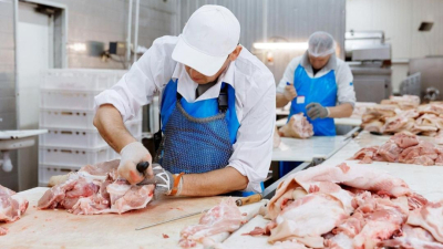 Рост производства мяса в Казахстане: уверенная динамика развития отрасли