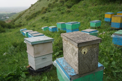 Несладкая перспектива