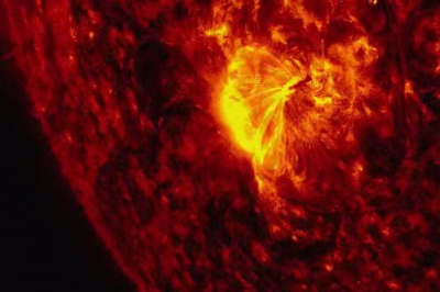 На Солнце ожидается рост активности уже на неделе