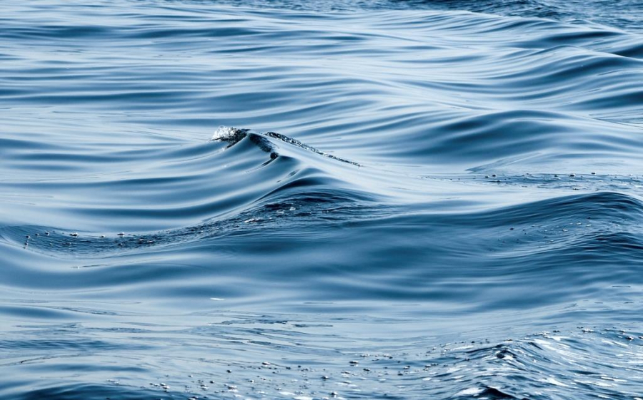 АТОР: Россияне выберут для летнего отпуска Турцию и Египет