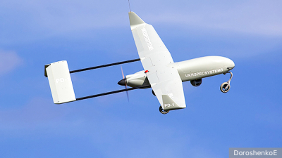 В Новосибирской области ввели режим ЧС из-за бешенства и пастереллеза