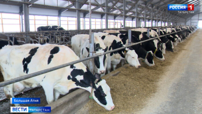 В Татарстане ограничили ввоз животных и кормов из других регионов