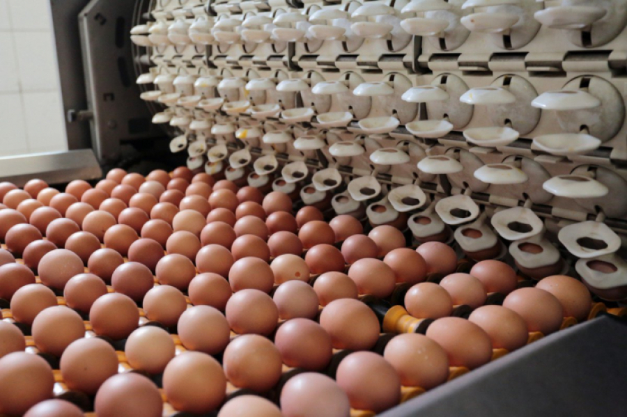 Больше продуктов питания стал производить Казахстан