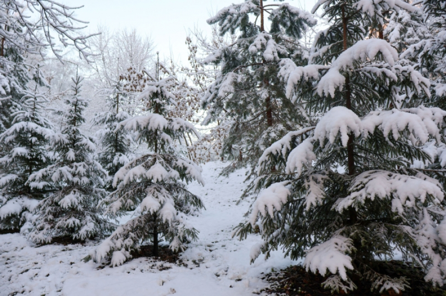 В выходные Камчатку накроют метели с ураганным ветром