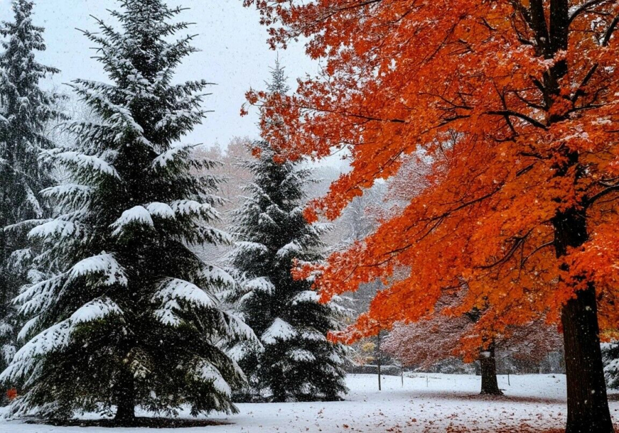 Дождь со снегом ожидается в четверг в ряде регионов Казахстана