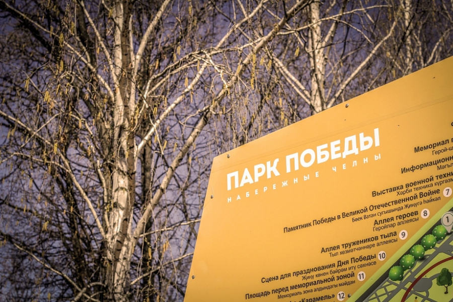 Спасительный разговор: &laquo;ЛизаАлерт&raquo; проведет урок безопасности для детей в парке Победы