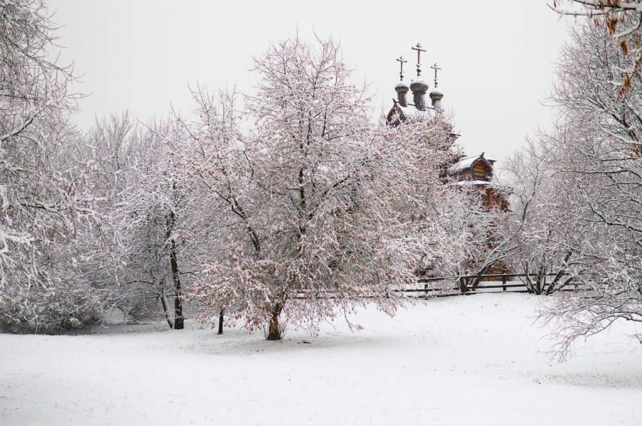 Православные верующие отметят праздник преподобного Феодора Студита 8 февраля 2026 года