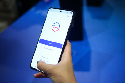 Пробный ЕГЭ можно будет сдать на &laquo;Госуслугах&raquo;