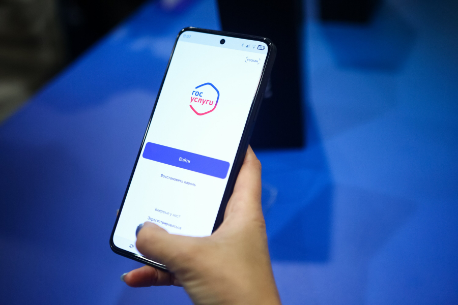 Пробный ЕГЭ можно будет сдать на &laquo;Госуслугах&raquo;
