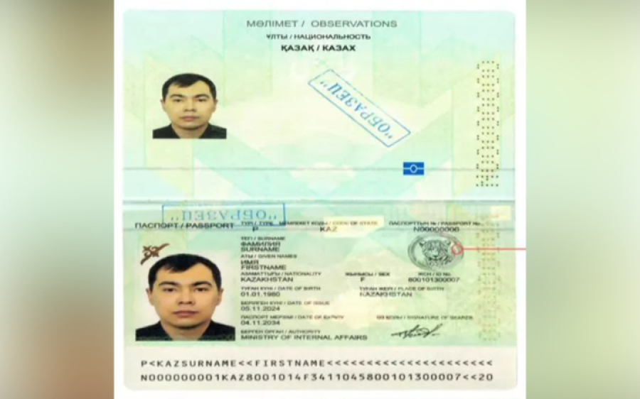 Снежный барс появится в паспортах казахстанцев