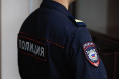 Полиция Татарстана проверяет, кто проткнул кошку палкой в Челнах