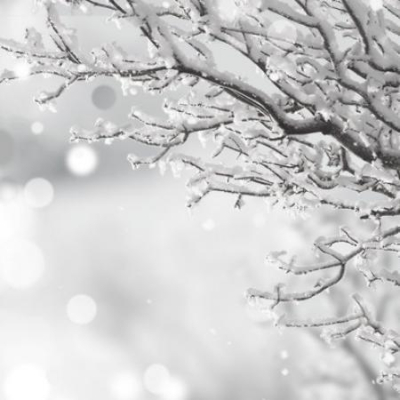 Вильфанд пообещал Поволжью аномальные морозы в ближайшие дни