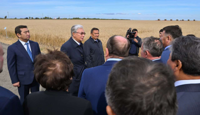 Токаев: «Сельское хозяйство – это наш актив»