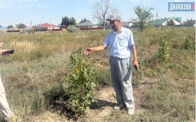 72-летний пенсионер высадил 500 саженцев для будущего парка