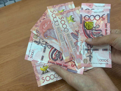 В Казахстане создадут Гарантийный фонд для кредитования крупного бизнеса