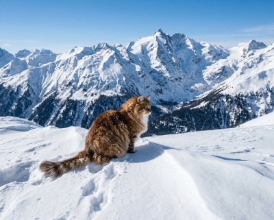 Праздничные выходные в Татарстане начнутся с усиления мороза до -24 градусов