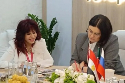 Татарстан и Арабский союз инвесторов обсудили совместные проекты