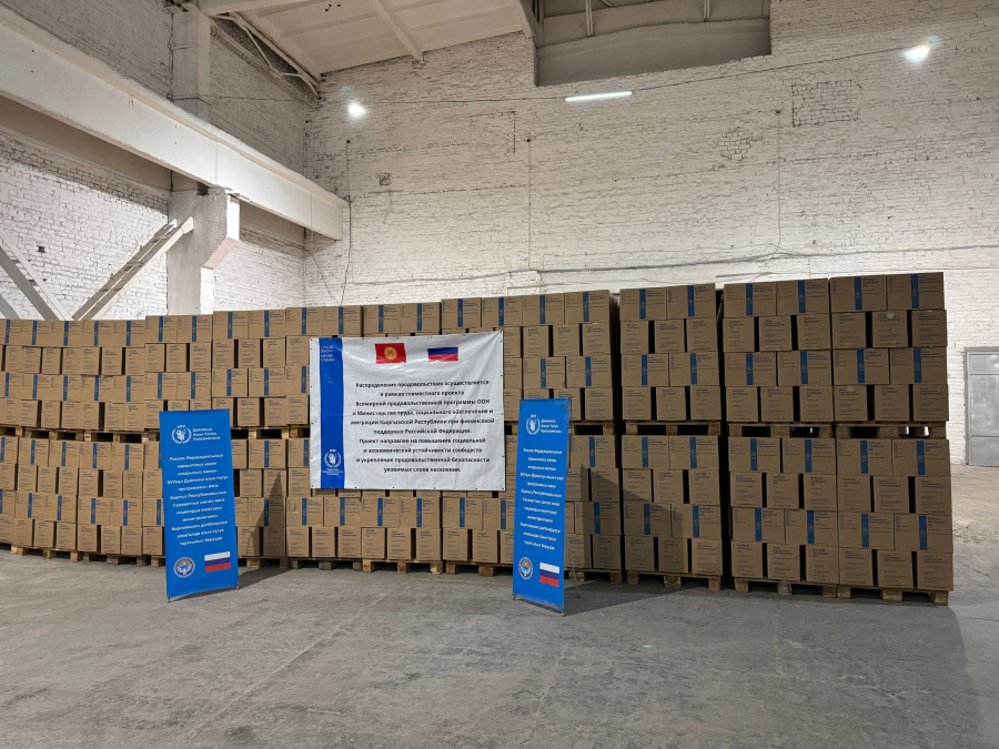 Россия передала Кыргызстану очередную партию гуманитарной помощи